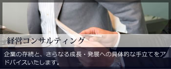 経営コンサルティング 企業の存続と、さらなる成長・発展への具体的な手立てをアドバイスいたします。