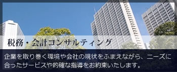 税務・会計コンサルティング 企業を取り巻く環境や会社の現状をふまえながら、ニーズに合ったサービスや的確な指導をお約束いたします。