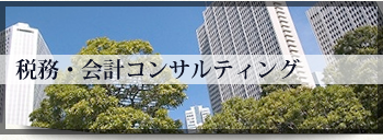 税務・会計コンサルティング 企業を取り巻く環境や会社の現状をふまえながら、ニーズに合ったサービスや的確な指導をお約束いたします。